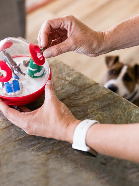 Jouet distributeur de friandises pour chien