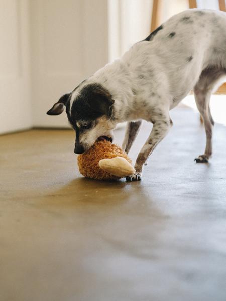 Jouet en peluche pour chien - American Classic - Poulet frit
