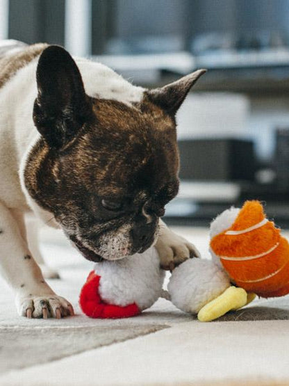 Jouet en peluche pour chien