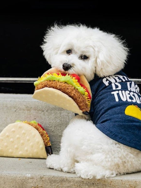 Jouet en peluche pour chien - International Classic - Tacos - Pet PLAY