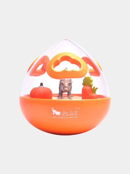 Jouet distributeur de friandises pour chien