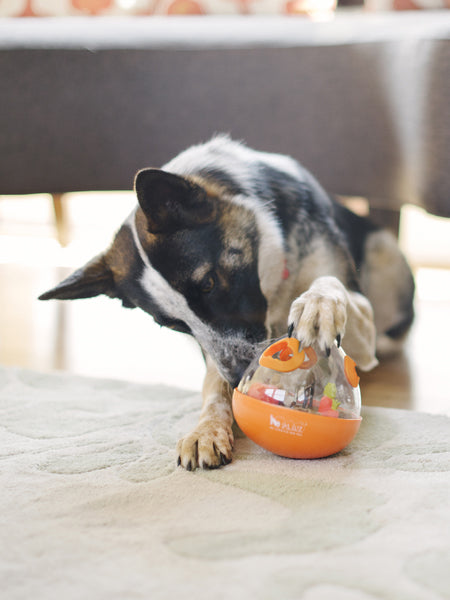Jouet distributeur de friandises pour chien - Wobble Ball orange - Pet PLAY