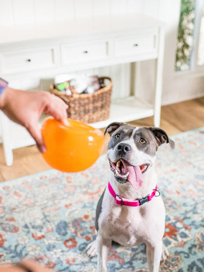 Snoop Orbee-Tuff pour chien - jouet interactif distributeur de friandises
