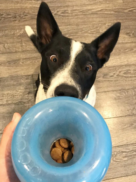 Snoop Orbee-Tuff pour chien - jouet interactif distributeur de friandises