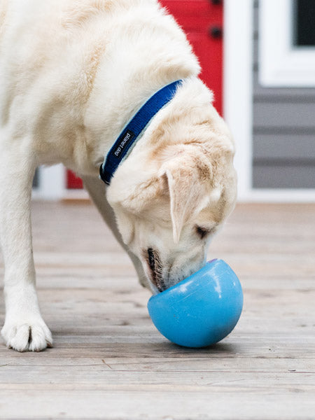 Snoop Orbee-Tuff pour chien - jouet interactif distributeur de friandises