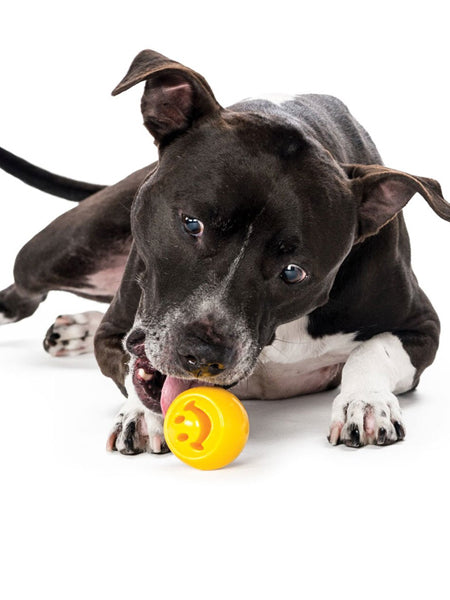 Balle Orbee Tuff pour chien - Smiley - Eco-friendly et durable