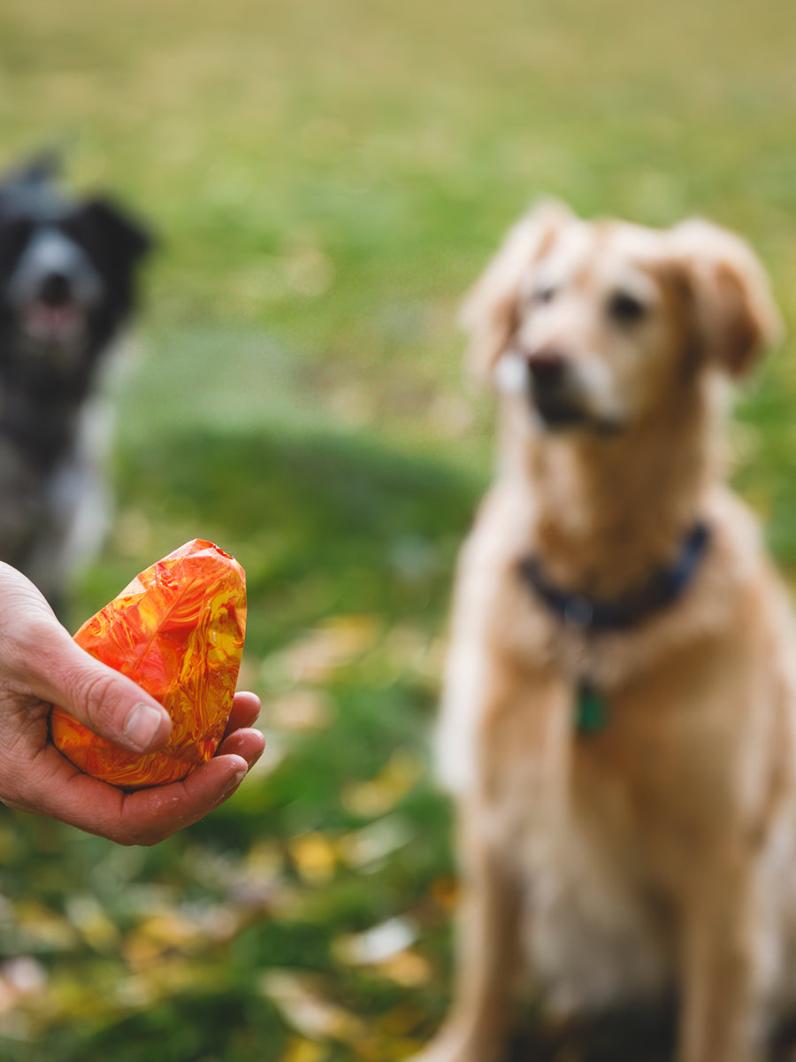 Jouet pour chien - Gnawt a Cone - Salamander orange
