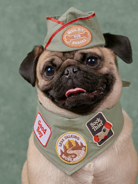 Badge thermocollant Good Boy - Scout's Honour