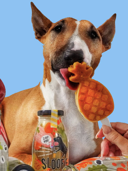 Délicieux Smoothie 🥤 naturel pour chien - Tropical 🍈🍌🍎🥭- Sloofie