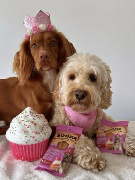 Friandises naturelles - Cupcake Coco et Fraise 🧁🥥🍓 - Soopa