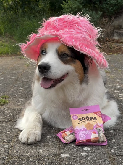Friandises naturelles pour chien