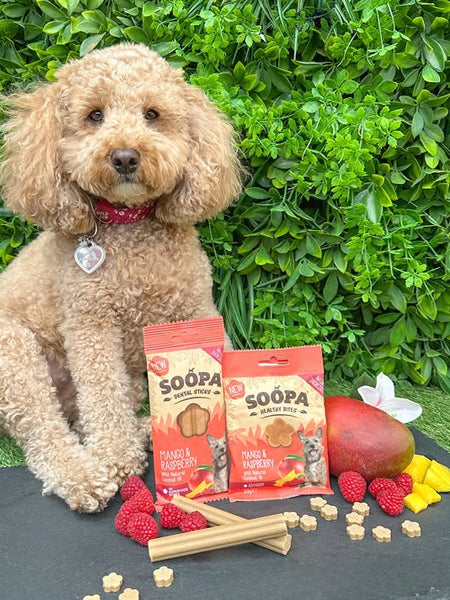 Friandises naturelles pour chien