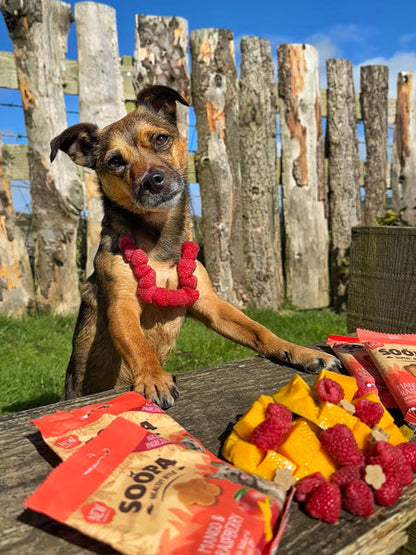 Friandises naturelles pour chien