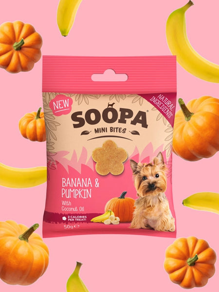 Friandises naturelles pour chien