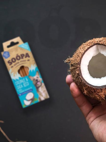 Bâtonnets à mâcher pour chien - Noix de Coco et Graines de Chia