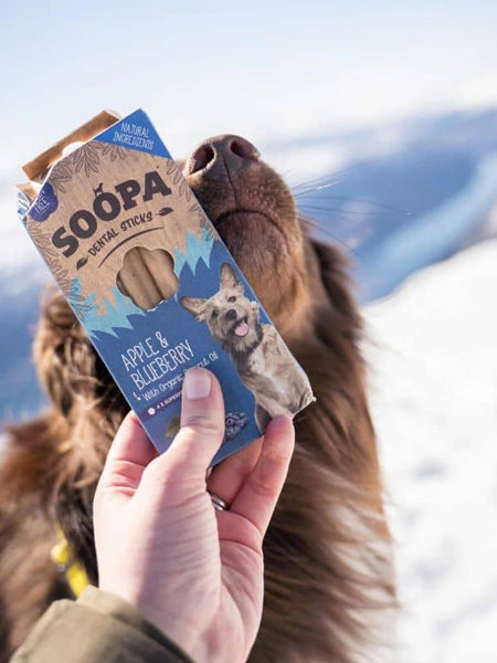 Bâtonnets à mâcher pour chien