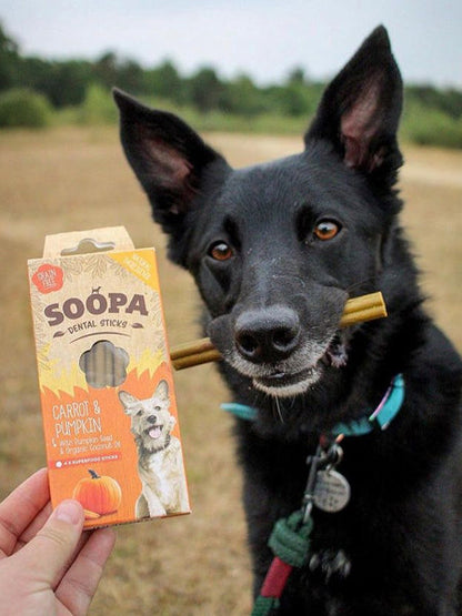 Bâtonnets à mâcher pour chien - Carotte et Citrouille