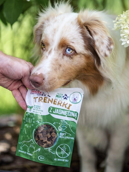 Friandises naturelles pour chien - 100% Agneau 🐑