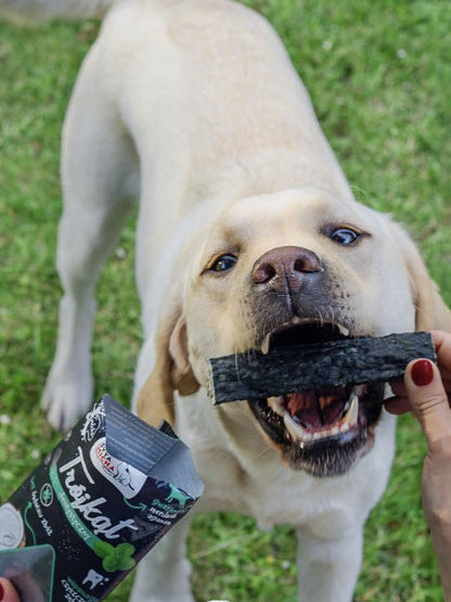 Os à mâcher pour chien