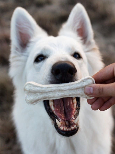 Os à mâcher Vegan pour chien