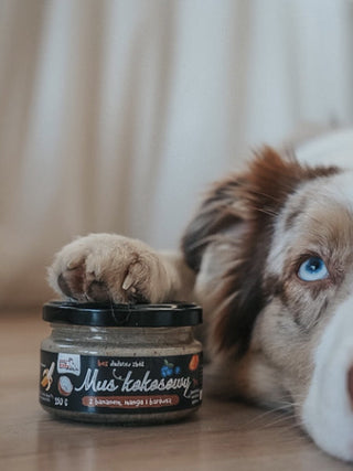 Mousse à tartiner pour chien - coco banane mangue et myrtille