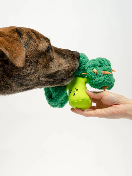 Jouet de fouille et d'enrichissement pour chien - Brocolis - The FurryFolks