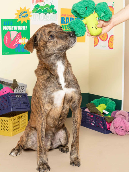 Jouet de fouille et d'enrichissement pour chien - Brocolis - The FurryFolks
