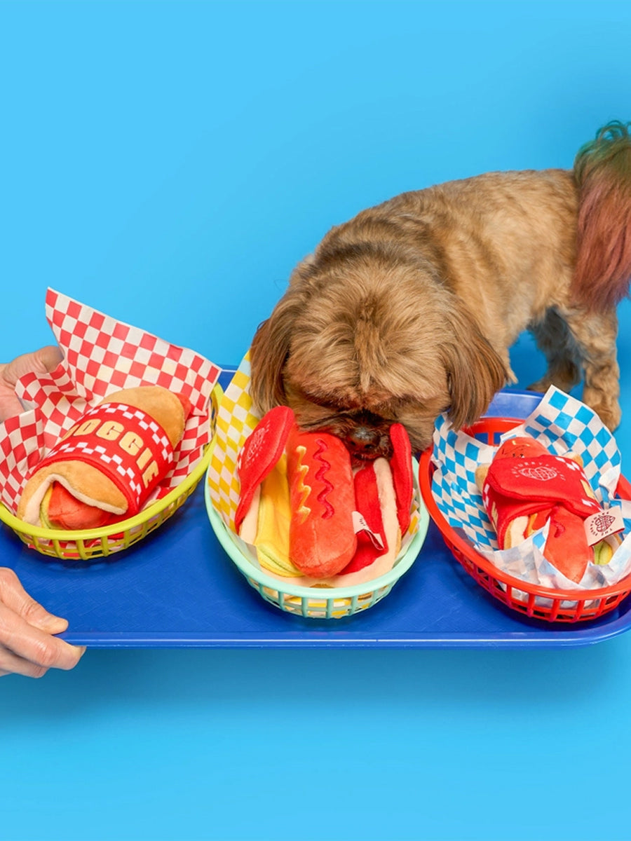 Jouet de fouille pour chien