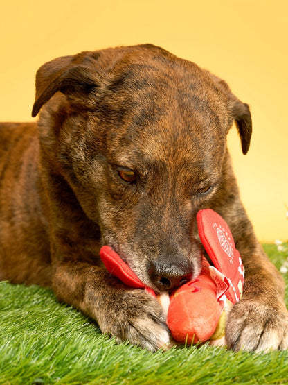Jouet de fouille pour chien