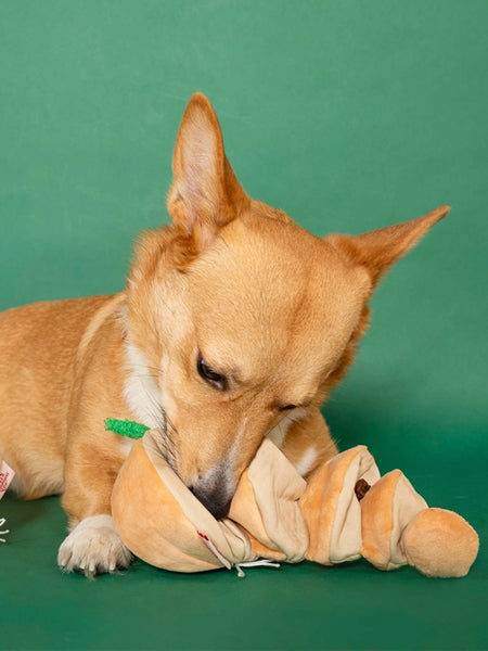 Jouet de fouille et d'enrichissement pour chien - Oignon 🧅 - The FurryFolks