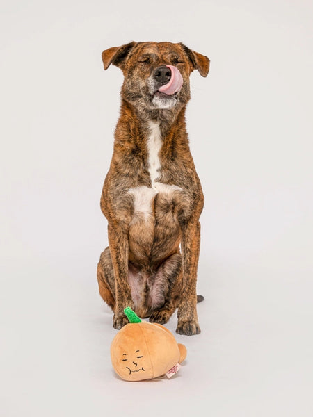 Jouet de fouille et d'enrichissement pour chien - Oignon 🧅 - The FurryFolks