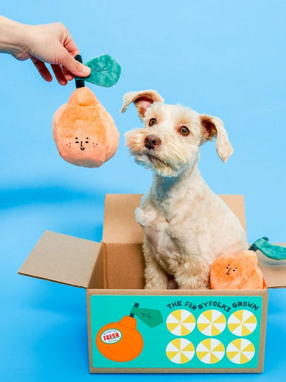 Jouet de fouille et d'enrichissement pour chien - Orange 🍊 - The FurryFolks