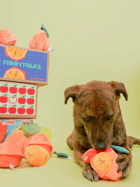 Jouet de fouille et d'enrichissement pour chien - Orange 🍊 - The FurryFolks
