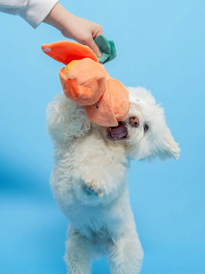 Jouet de fouille et d'enrichissement pour chien - Orange 🍊 - The FurryFolks