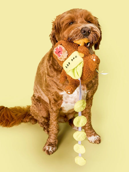 Jouet de fouille pour chien