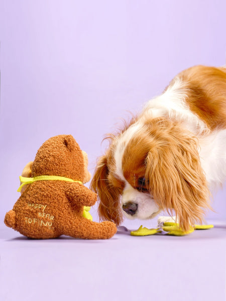 Jouet de fouille pour chien