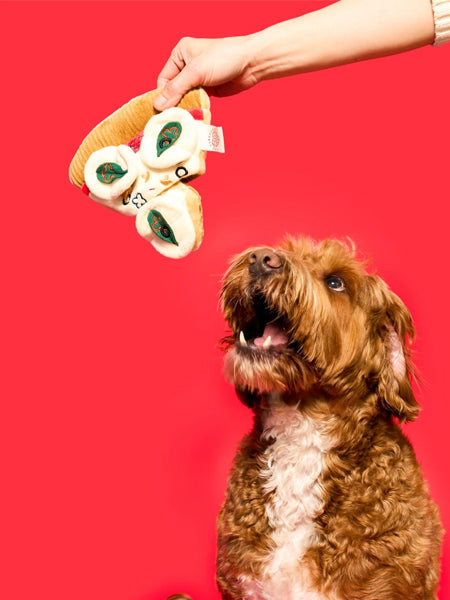 Jouet de fouille pour chien - Pizza 🍕 - The FurryFolks