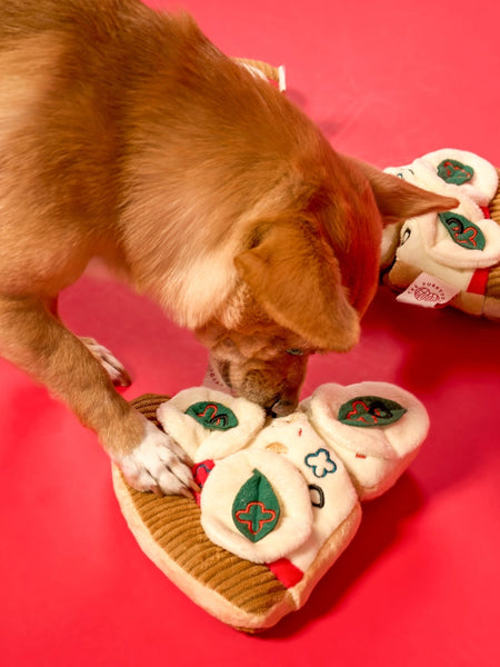 Jouet de fouille pour chien - Pizza 🍕 - The FurryFolks