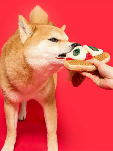 Jouet de fouille pour chien - Pizza 🍕 - The FurryFolks