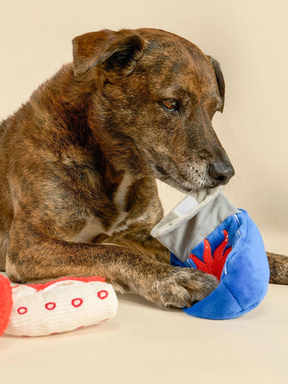 Jouet de fouille pour chien