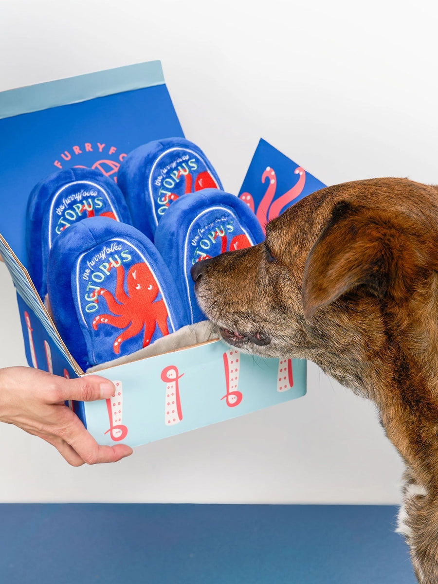 Jouet de fouille pour chien