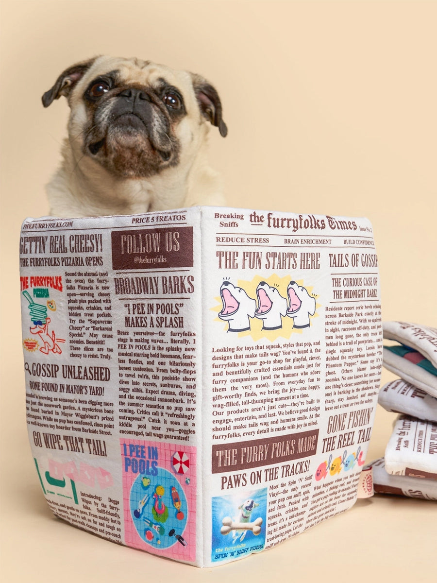 Jouet de fouille pour chien