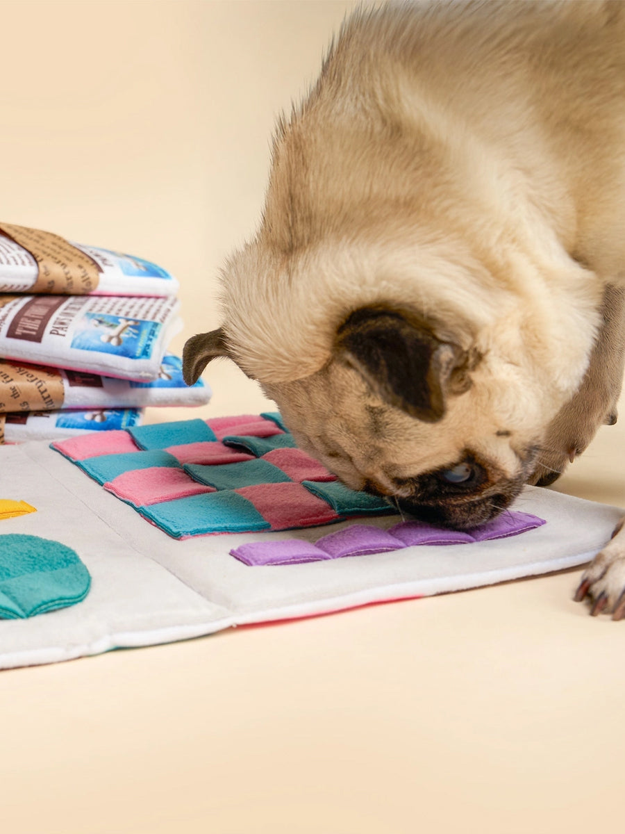 Jouet de fouille pour chien