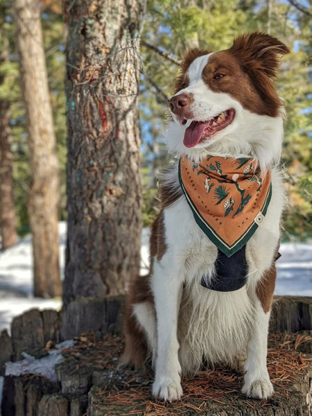 Bandana en coton - Desert Dwellers - The Landmark Project