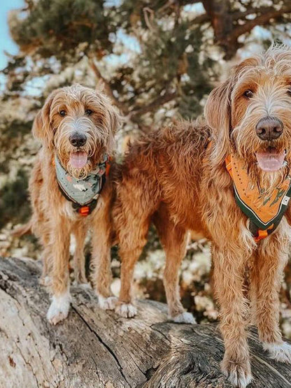Bandana en coton - Northwest Wildlife - The Landmark Project