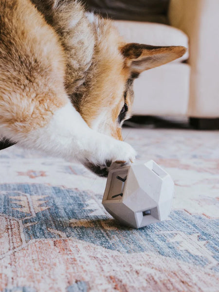 Distributeur de friandises interactif pour chien - The Odin - Gris