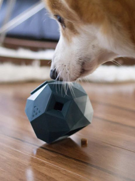 Distributeur de friandises interactif pour chien
