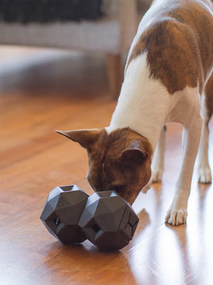 Distributeur de friandises interactif pour chien