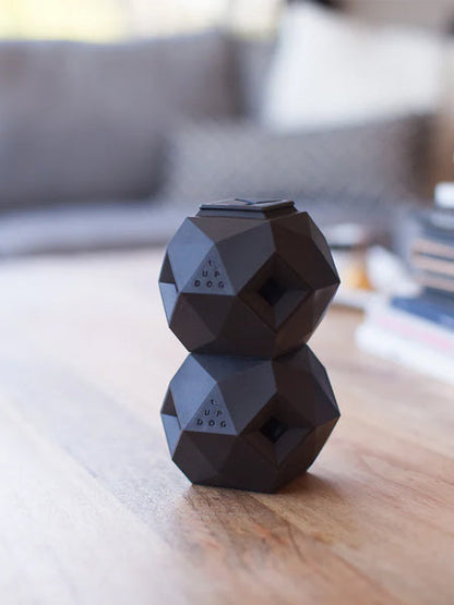 Distributeur de friandises interactif pour chien
