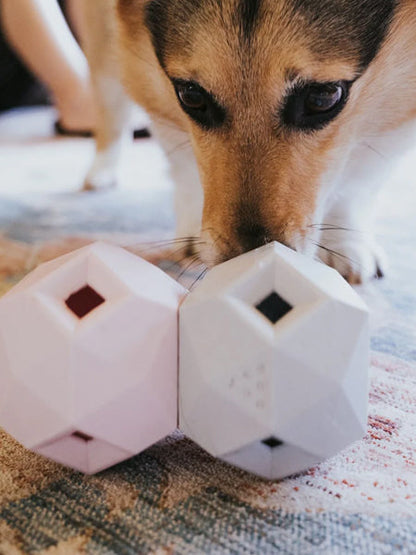 Distributeur de friandises interactif pour chien - The Odin - Gris